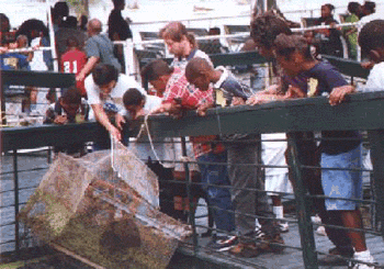 Kids And The Crawfish Trap