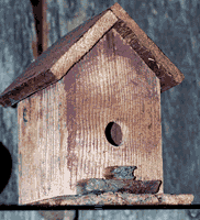 birdhouse.gif 182x200