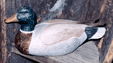 paintedduck1.gif 225x125