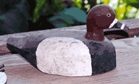 paintedduck3.gif 200x121