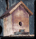 s_birdhouse.gif 75x82