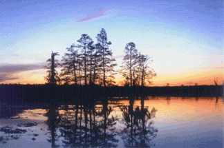 Sunset On The Flats